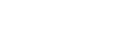 Net Services